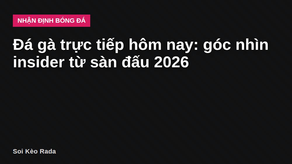 Đá gà trực tiếp hôm nay: góc nhìn insider từ sàn đấu 2026